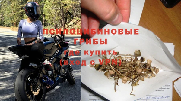 индика Сясьстрой