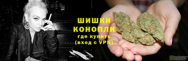 дурь Гусев