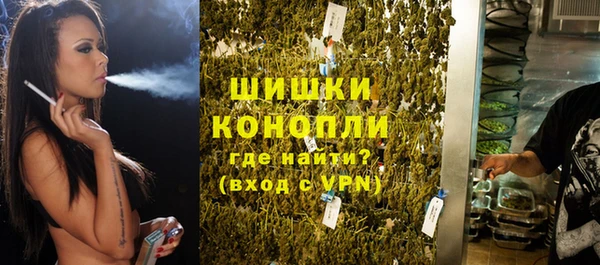 индика Сясьстрой