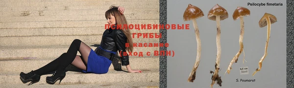 дурь Гусев