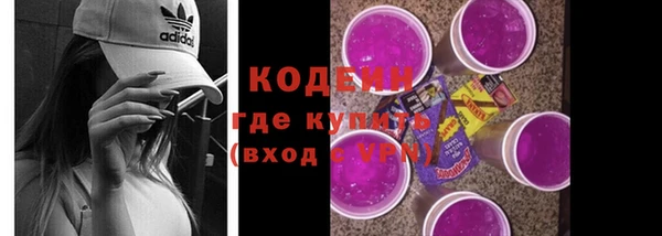 дурь Гусев