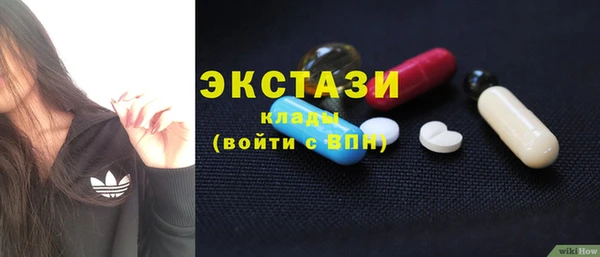 индика Сясьстрой