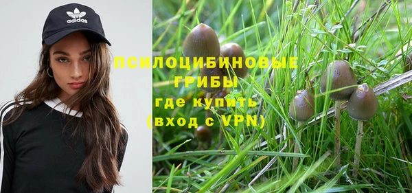 mdpv Тайга