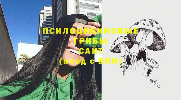 а пвп мука Дмитриев