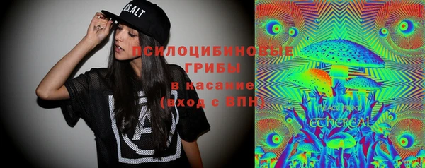 mdpv Тайга