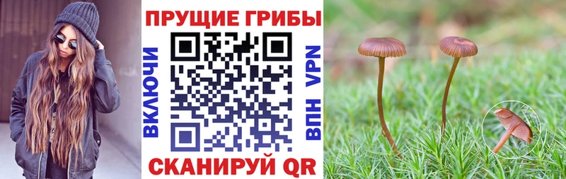 Псилоцибиновые грибы мухоморы  Гвардейск 